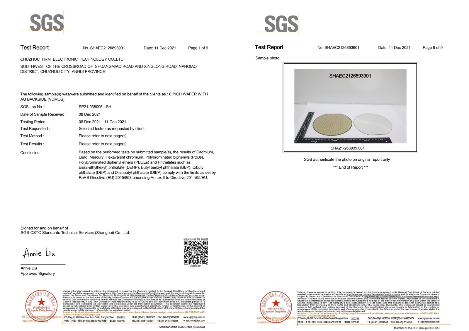 SGS報告-20231107_00.jpg SGS報告-20231107_00.jpg